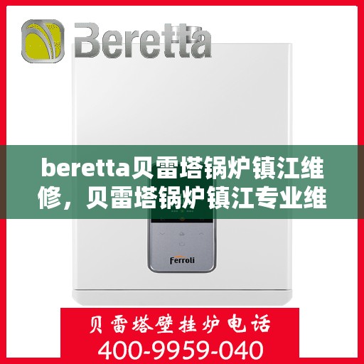 beretta贝雷塔锅炉镇江维修，贝雷塔锅炉镇江专业维修服务团队