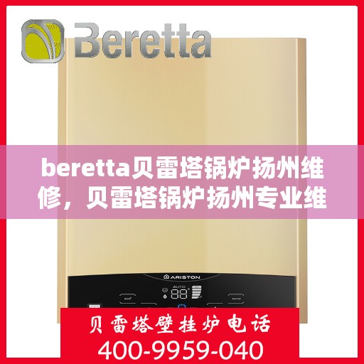 beretta贝雷塔锅炉扬州维修，贝雷塔锅炉扬州专业维修服务团队