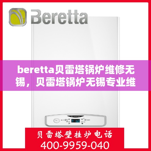 beretta贝雷塔锅炉维修无锡，贝雷塔锅炉无锡专业维修服务