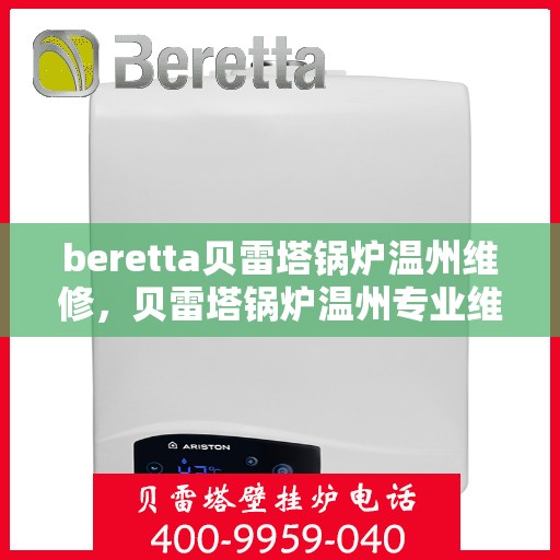 beretta贝雷塔锅炉温州维修，贝雷塔锅炉温州专业维修服务